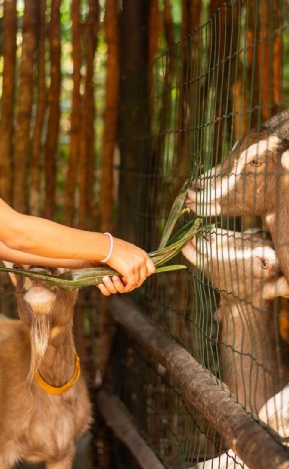 Quinta Do Sossego Hotel Mata de Sao Joao Ngoại thất bức ảnh